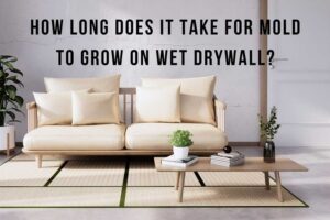How long does it take for mold to grow on wet drywall